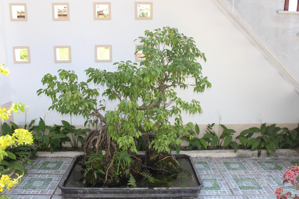 Hoian Joy Homestay Hoi An Esterno foto