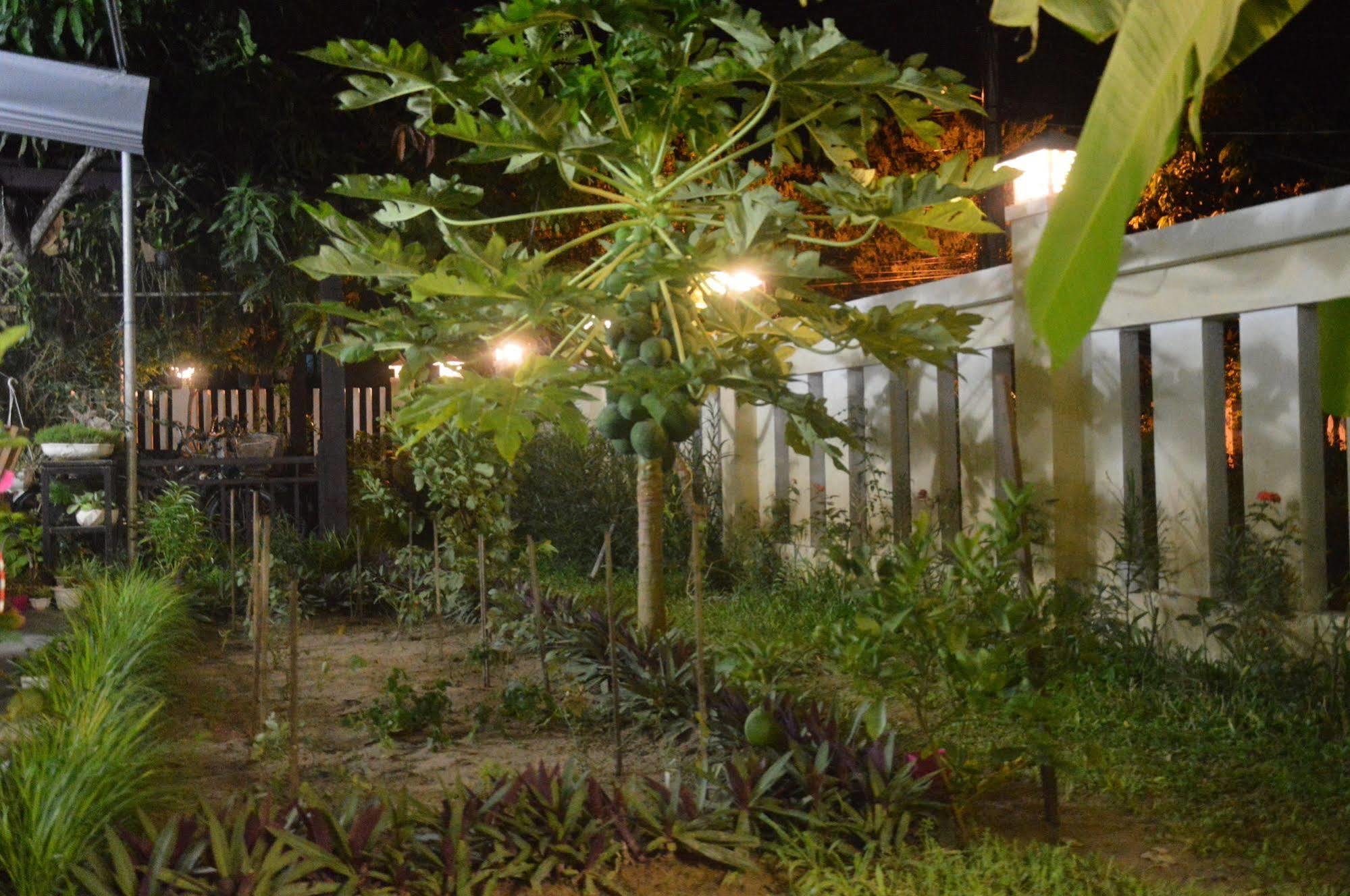 Hoian Joy Homestay Hoi An Esterno foto